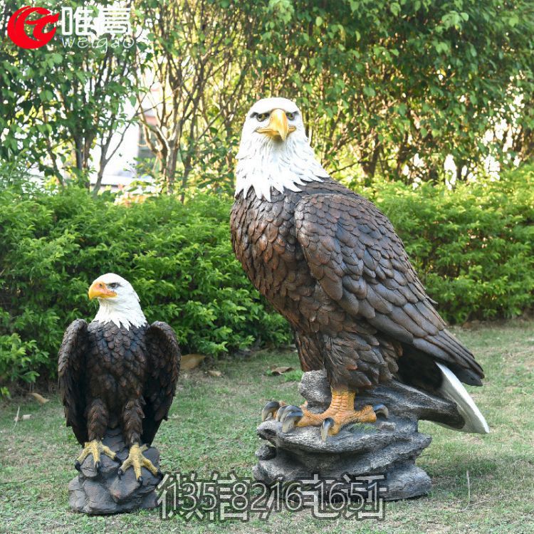 玻璃鋼仿真老鷹白頭鷹雕塑