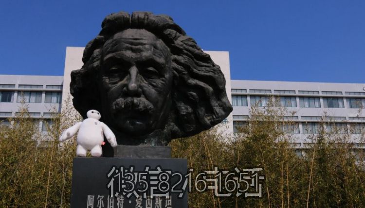 校園景觀擺件銅雕發明家頭像愛因斯坦雕塑